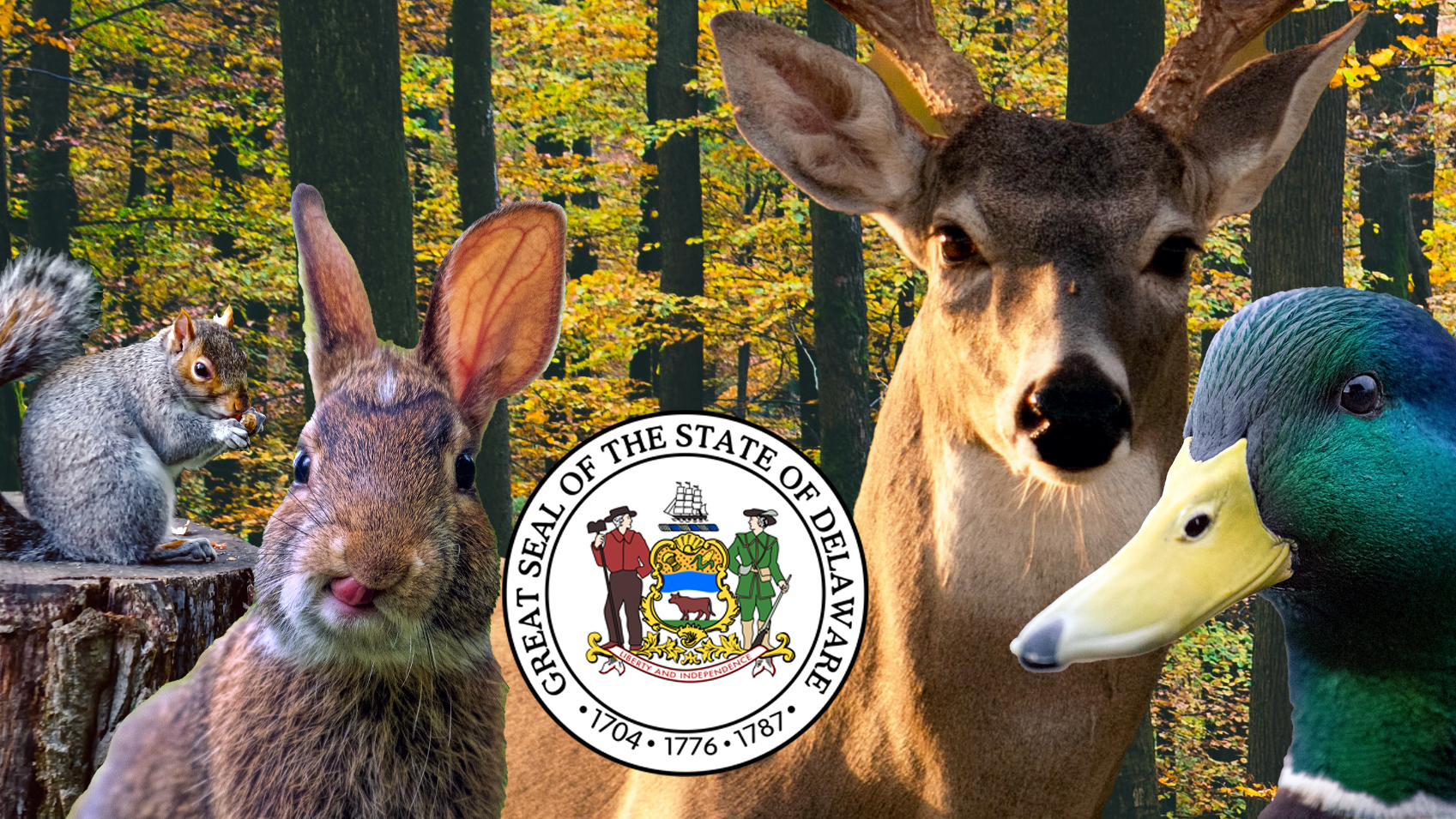 What Firearms & Ammunition Can You Hunt With In Delaware?