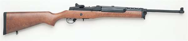 Ruger mini 14 is not banned by HB450 Delaware Assault Weapon Ban